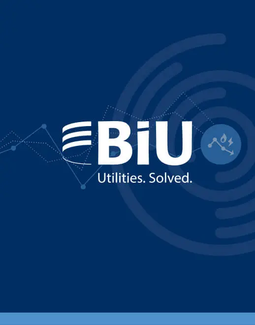 British Independant utilities