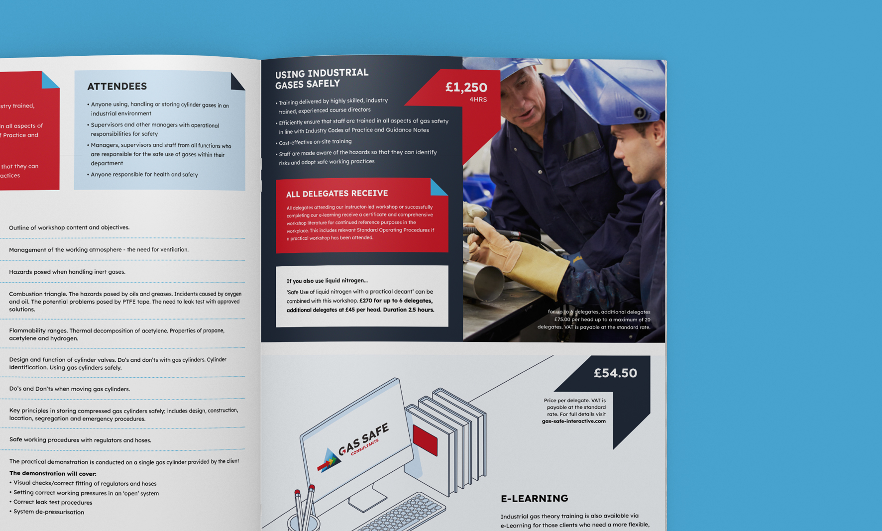 gassafe4 Gas Safe Consultants